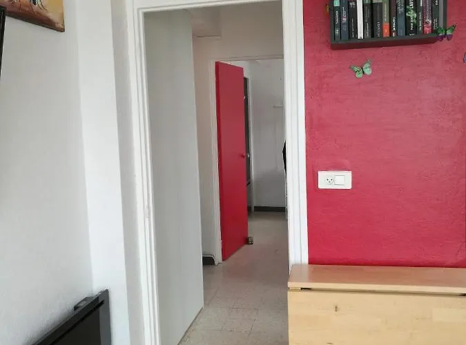 Apartment Le Saint Roch - Belle Vue En Plein Centre *